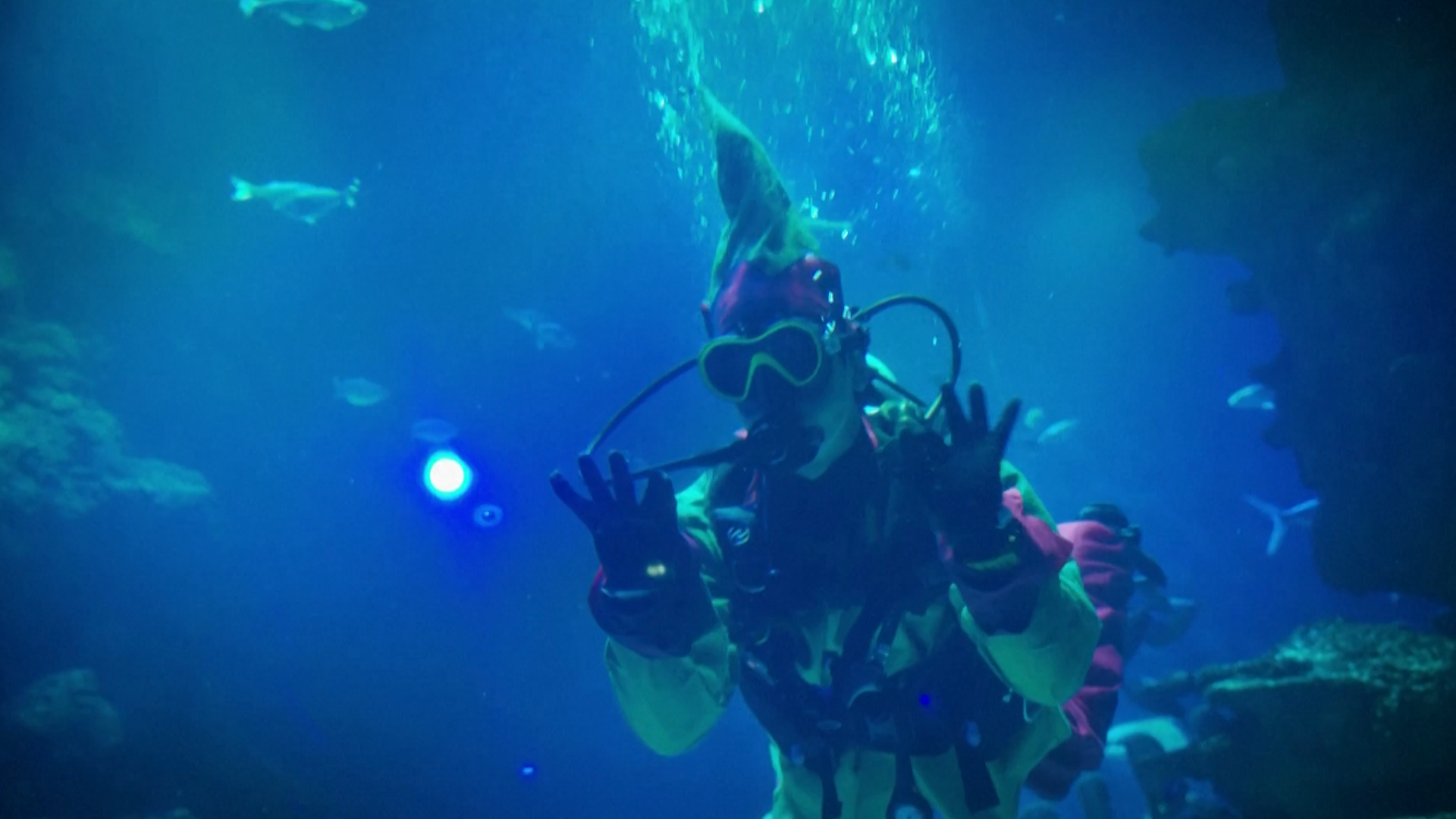 Merry Fish-mas!