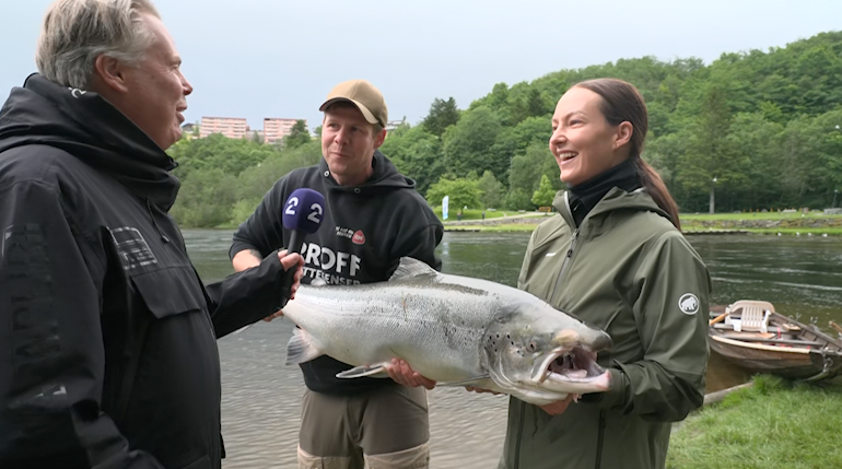 Glipper rekordlaksen på direkten